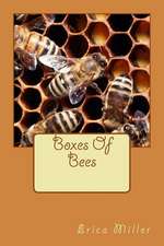 Boxes of Bees