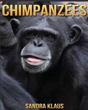 Chimpanzees