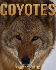 Coyotes