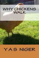 Why Chickens Walk