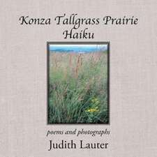 Konza Tallgrass Prairie Haiku