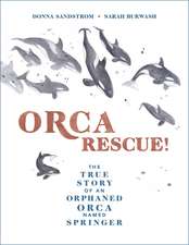 Orca Rescue!: The True Story of an Orphaned Orca Named Springer