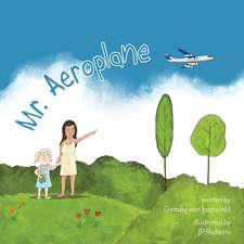 Mr. Aeroplane