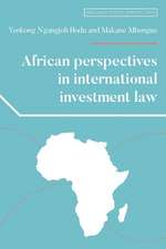 African Perspectives in International Investment Law