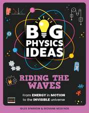 Big Physics Ideas: Riding the Waves