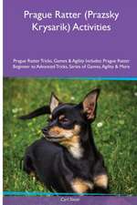 Prague Ratter (Prazsky Krysarik) Activities Prague Ratter Tricks, Games & Agility. Includes