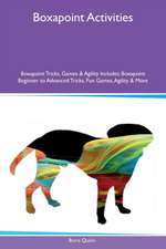 Boxapoint Activities Boxapoint Tricks, Games & Agility Includes