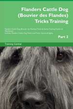 Flanders Cattle Dog (Bouvier des Flandes) Tricks Training Flanders Cattle Dog (Bouvier des Flandes) Tricks & Games Training Tracker & Workbook. Includes