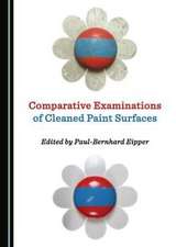 Comparative Examinations of Cleaned Paint Surfaces