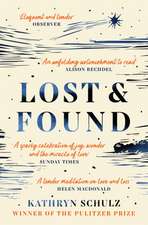 Schulz, K: Lost & Found