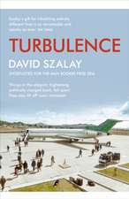 Szalay, D: Turbulence