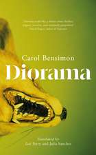 Diorama: an engrossing suspense novel set in 1980s Brazil