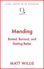 Mending: Busted, Breaking and Getting Better