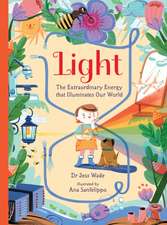 Light: The Extraordinary Energy That Illuminates Our World