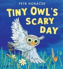 Tiny Owl's Scary Day