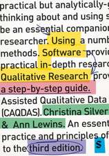 Using Software in Qual Res 3e 3E