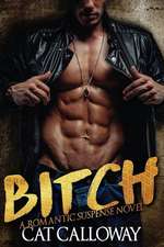 Bitch (a Romantic Suspense Novel)