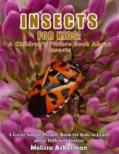 Insects for Kids