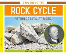 Exploring the Rock Cycle: Petrologists at Work!