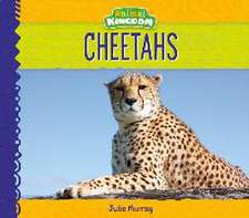 Murray, J: Cheetahs