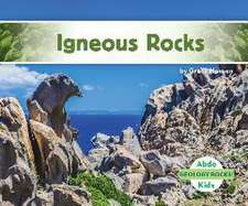IGNEOUS ROCKS