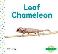 LEAF CHAMELEON