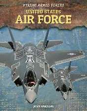 US AIR FORCE