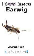 Earwig