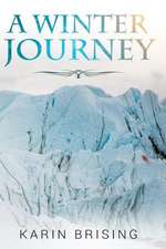 A Winter Journey