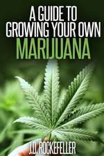 A Guide to Growing Your Own Marijuana