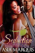 Seduction (Interracial Romance Novel)