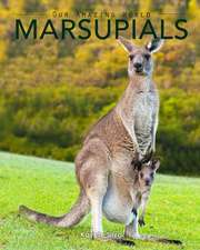 Marsupials