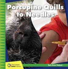 Porcupine Quills to Needles