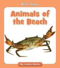 Animals of the Beach