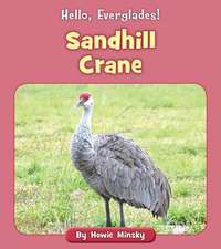 Sandhill Crane