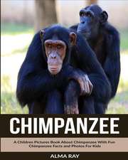 Chimpanzee