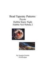 Bead Tapestry Patterns Peyote Hubble Starry Night Hubble Veil Nebula 2