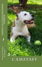 American Staffordshire Terrier