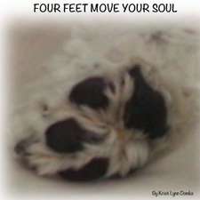 Four Feet Move Your Soul