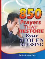 850 Prayers That Restore Your Stolen Blessing