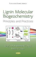 Lignin Molecular Biogeochemistry: Principles and Practices