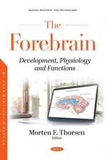 The Forebrain