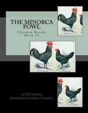 The Minorca Fowl