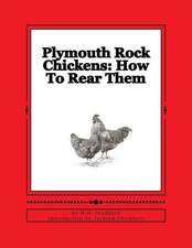 Plymouth Rock Chickens