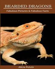Bearded Dragons