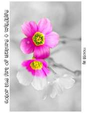 In Bloom
