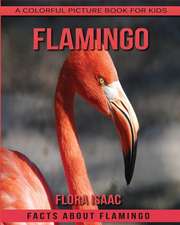 Facts about Flamingo a Colorful Picture Book for Kids