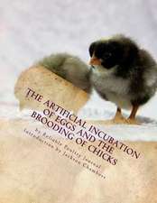 The Artificial Incubation of Eggs and the Brooding of Chicks