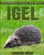 Igel