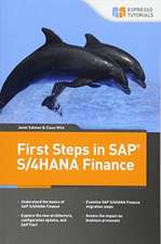 First Steps in SAP S/4hana Finance